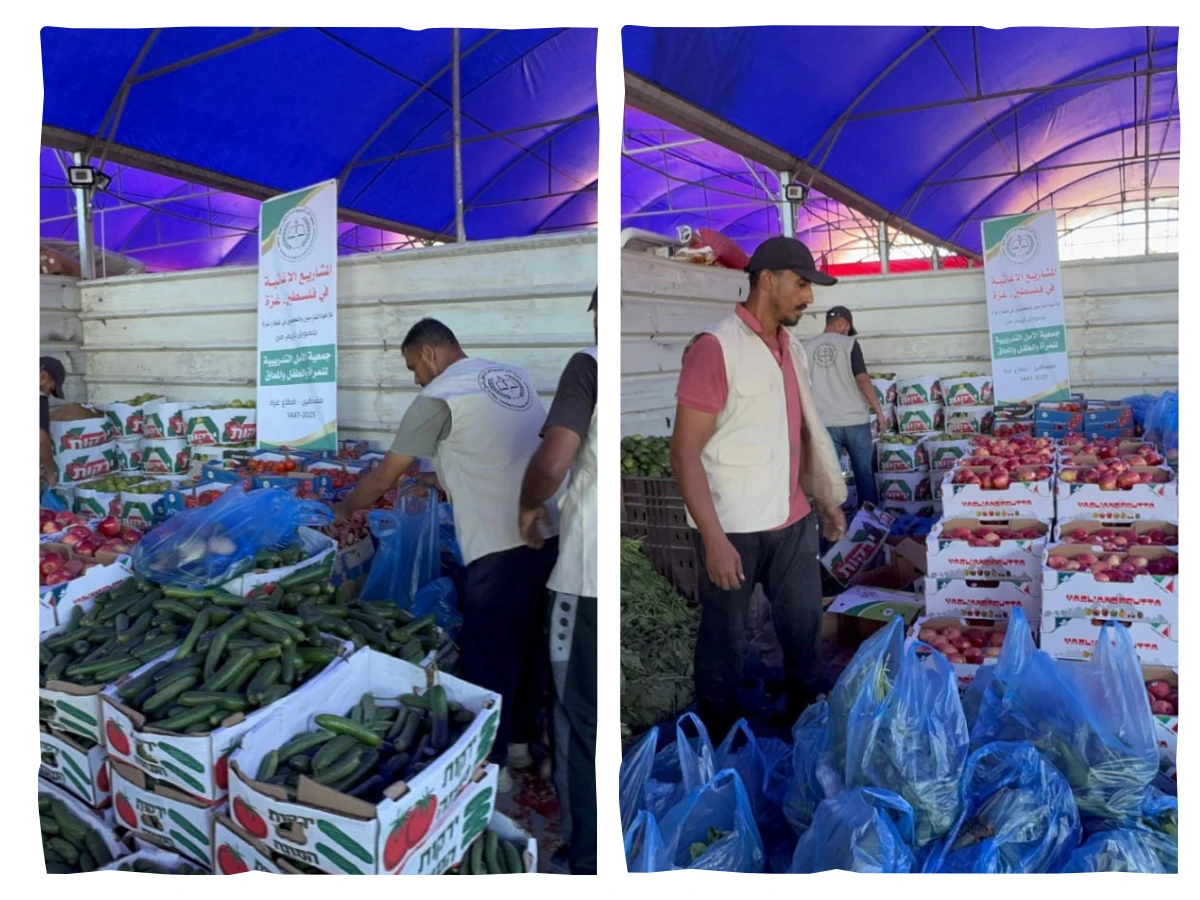 From the Soil to the Tent: When Fresh Food Becomes a Lifeline